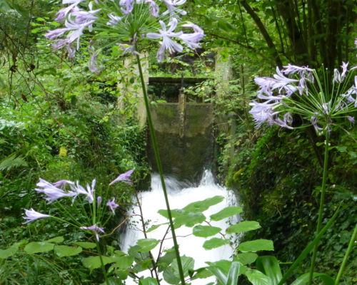Wasserfall